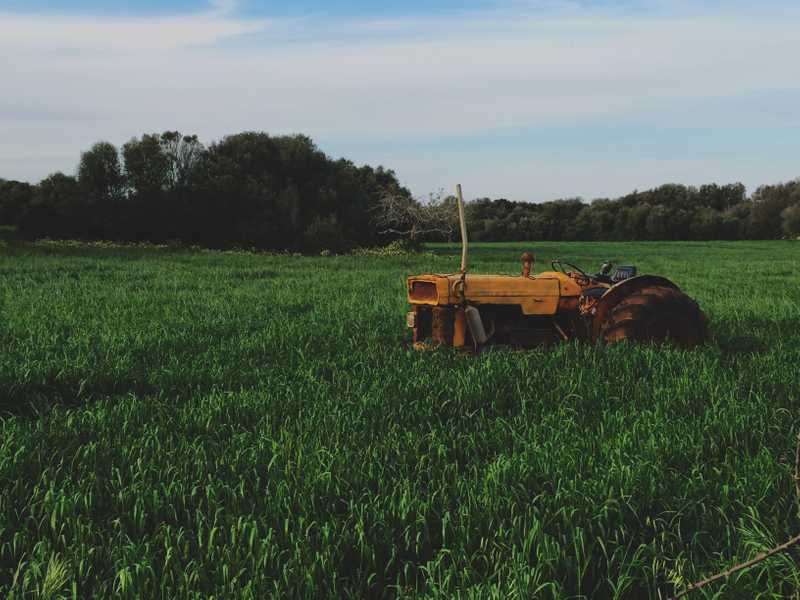 old tractor rusting in long weeds